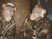 1985-01-12 Doe mer wa show B21C 1985-01-12 Doe mer wa show B21C